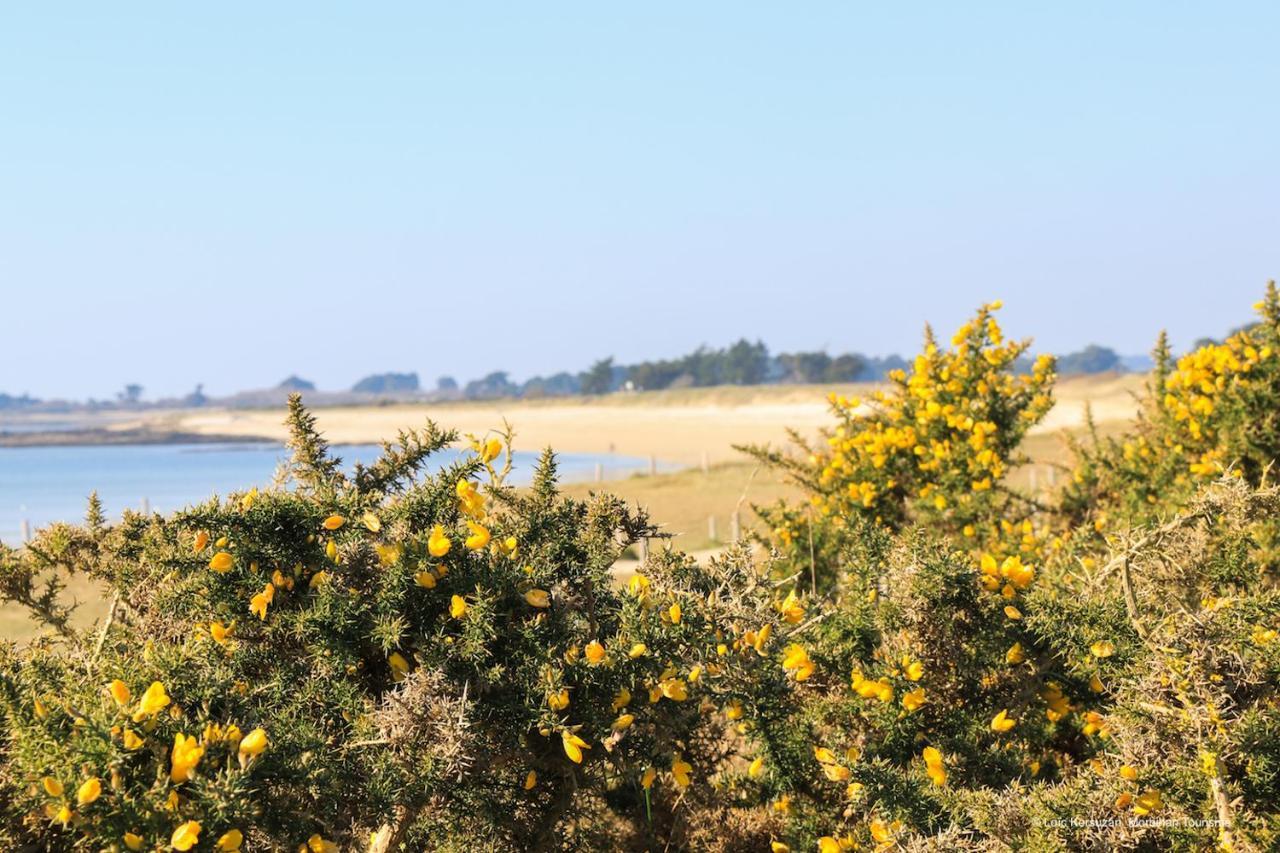 Locmariaquer - Duplex 4 Pers - Acces Direct A La Plage Kültér fotó
